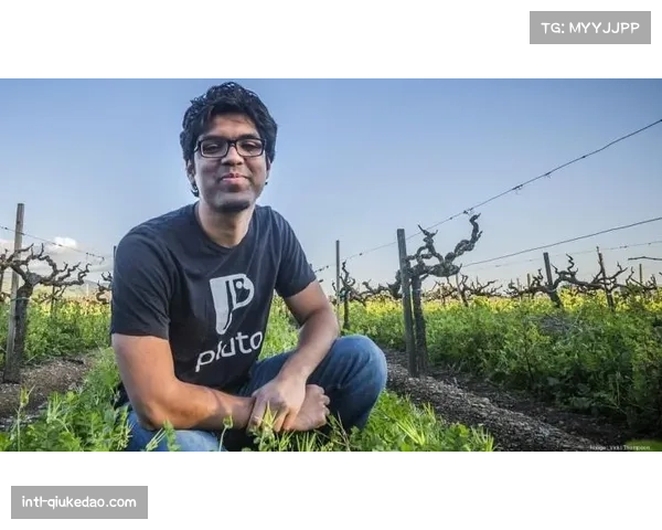 章鱼保罗世界杯预测传奇，AI时代新篇章开启