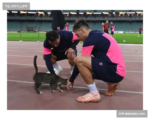 场边花絮：大雪导致航班延误，多特蒙德队赛前仅有一次踩场训练